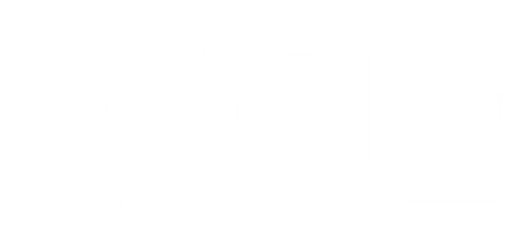 Logo Ladig Foods